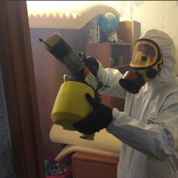 Уничтожение клопов в квартире. Всеволожск